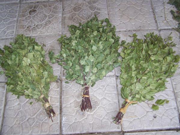 Веник банный березовый